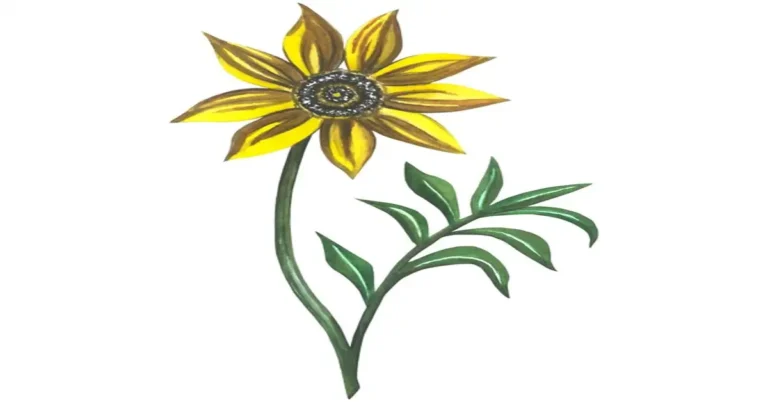 Sunflower Drawing