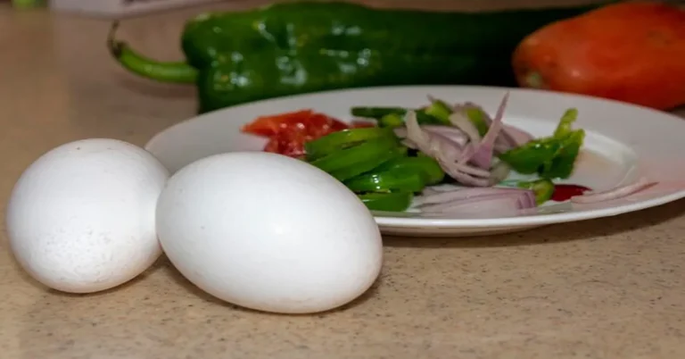 Ostrich Egg